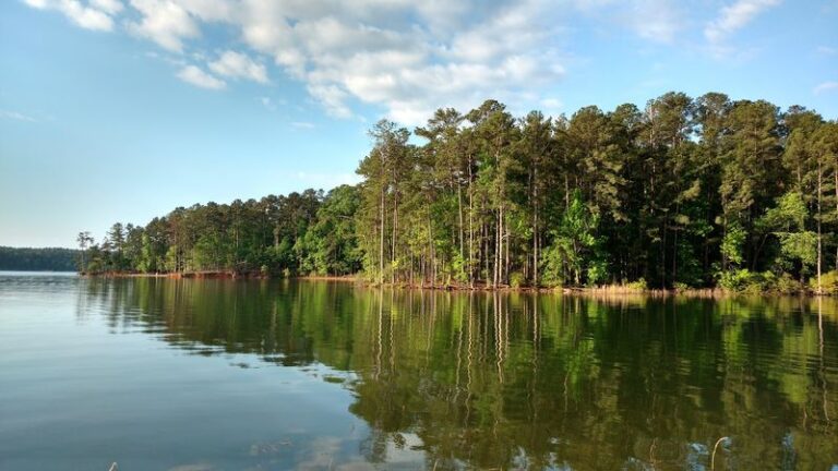 This Quiet Corner Of Georgia Hides A Lakeside State Park With Serene Forest Trails And Barely A Crowd