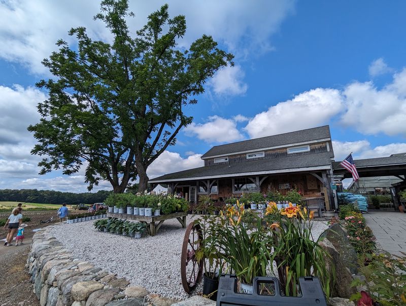 Seven Massachusetts Farm Breakfasts Where You Eat Eggs Steps From The Barn