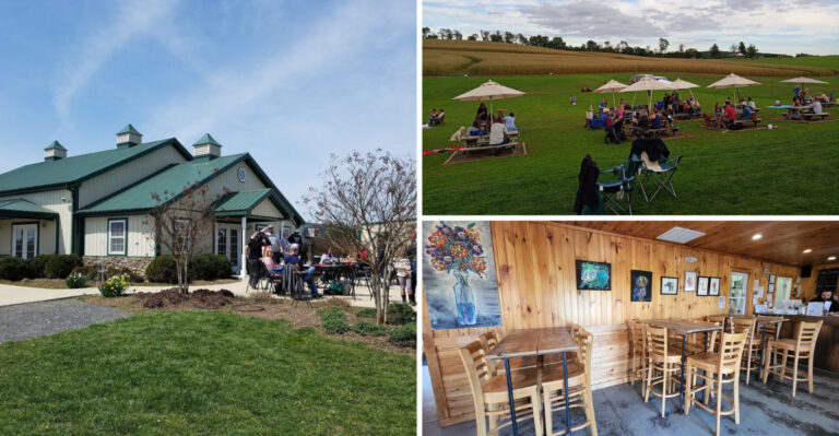 This Frederick County Farm Brewery Pours Craft Beer Beside Grazing Cattle