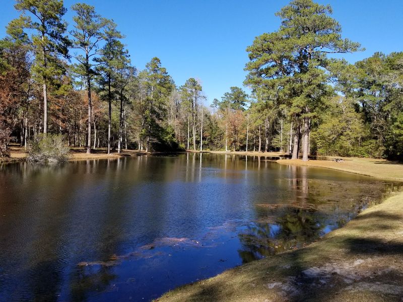 This Peaceful South Carolina State Park Hides A Quiet Blackwater Lake Few Travelers Ever Find