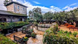 9 California Wineries Where You Can Picnic Right Among The Vines