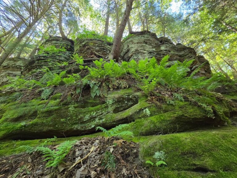 Set Deep In Ohio’s Hocking Hills, Cantwell Cliffs In Rockbridge Rewards A Steep Hike With A Hidden Rock Valley