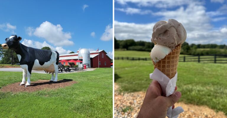 This Old-School Georgia Creamery Scoops Homemade Ice Cream and Milkshakes at the End of a Winding Country Drive
