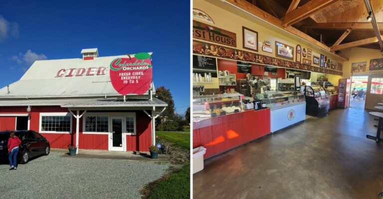 Washington Apple Country Hides 7 Orchard Stands Selling Cider Doughnuts This Fall