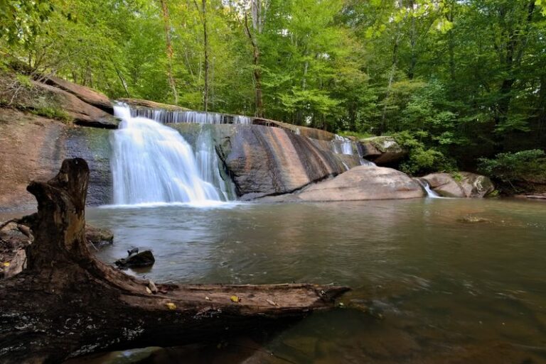 This Under-the-Radar North Carolina State Park Puts a Waterfall Less Than Five Minutes’ Walk From the Lot