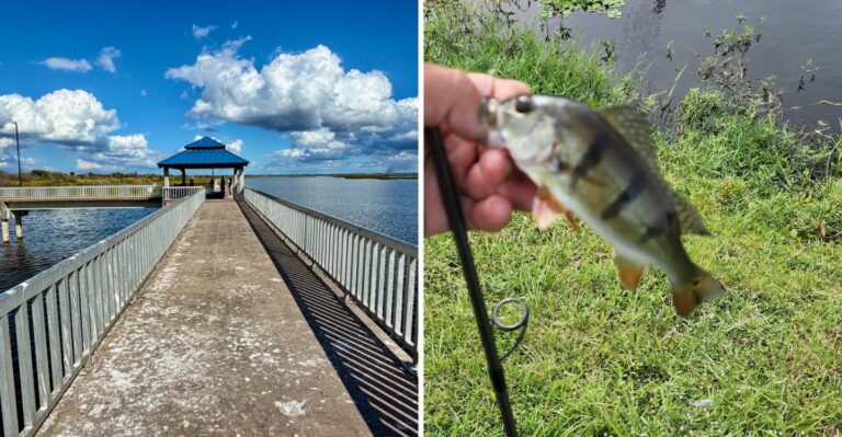 Retirees Are Settling Into This Affordable Florida Lake Town Where The Fishing Never Stops