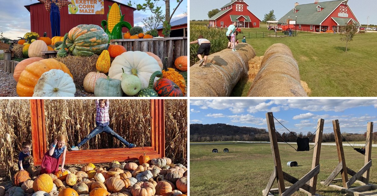 9 Missouri Corn Mazes And Pumpkin Patches Where Fall Weekends Turn Into All-Day Fun