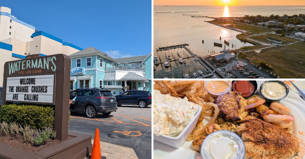 These 7 Chesapeake Bay Crab Cake Dinners Make Every Mile Of A Virginia Drive Worth It
