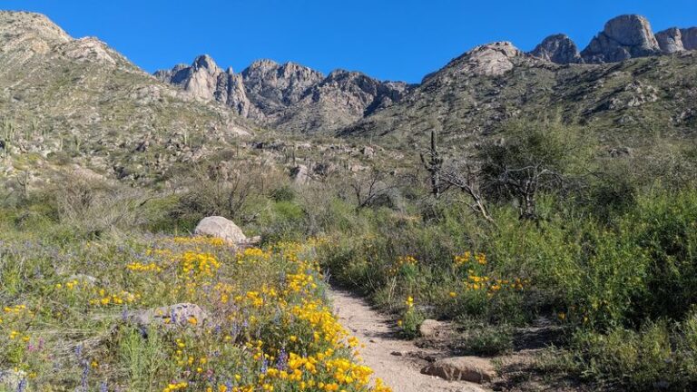 This Uncrowded Arizona State Park Hides A Slot Canyon Most Visitors Never Find