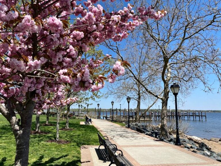 Wander The Brick Streets And Harbor Shops Of This Historic Chesapeake Town In Havre de Grace