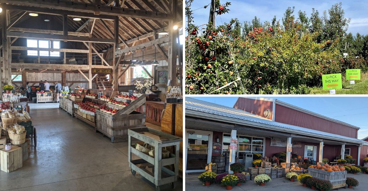 Some Of Ohio’s Best Apple Cider Comes From These 7 Family Orchards Pressing It Fresh