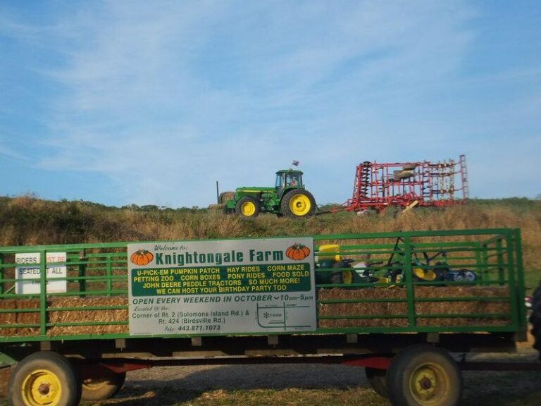 Autumn In Maryland Means These 8 Corn Mazes And Hayrides Are Finally Open For The Season