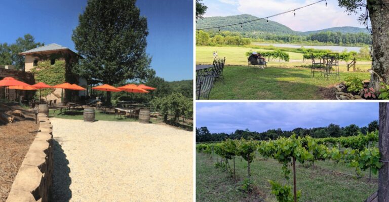 7 Alabama Wineries Where You Can Sip A Glass With A View Of The Rolling Hills