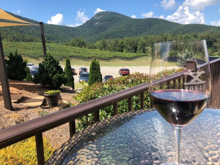These 9 Georgia Wineries Pour Award-Winning Wine With Mountain Views You’ll Want To Linger Over