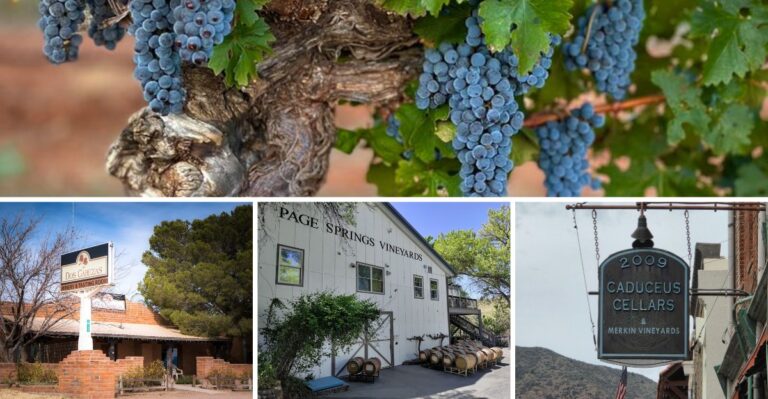 These 8 Arizona Wineries Pour Award-Winning Reds In The High Desert You’d Never Expect