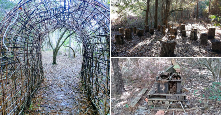 This Short, Shady Mississippi Woodland Path Is Dotted With Whimsical Animal Art Straight Out Of A Storybook