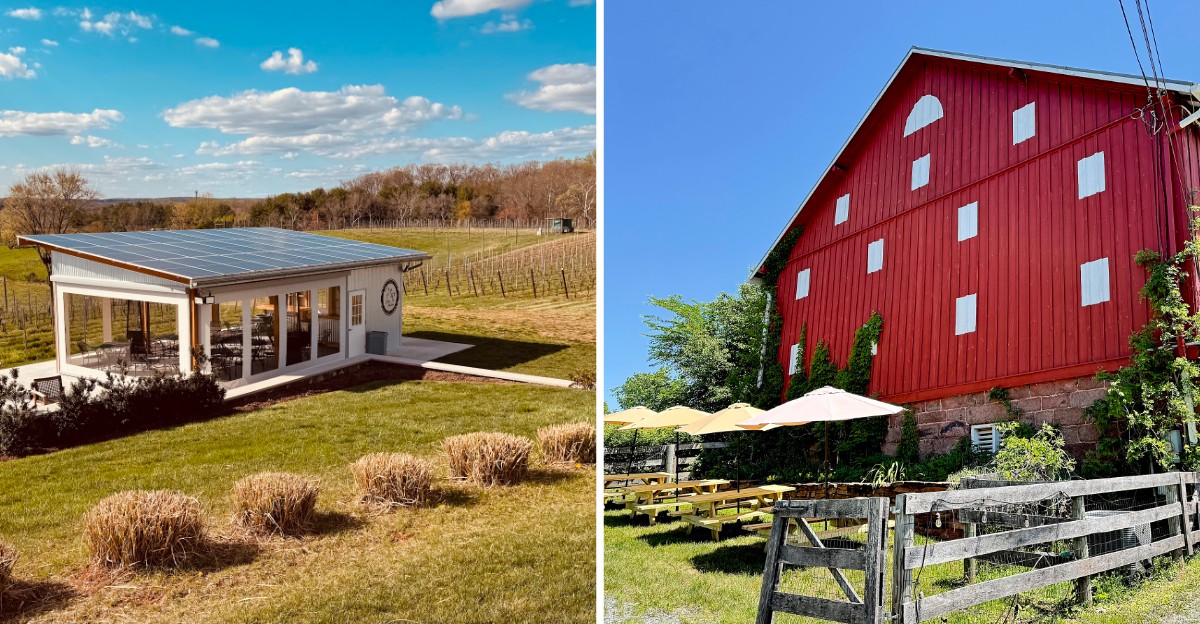 Before Winter Hits, Visit These 7 Maryland Wineries With Fire Pits And Vineyard Views