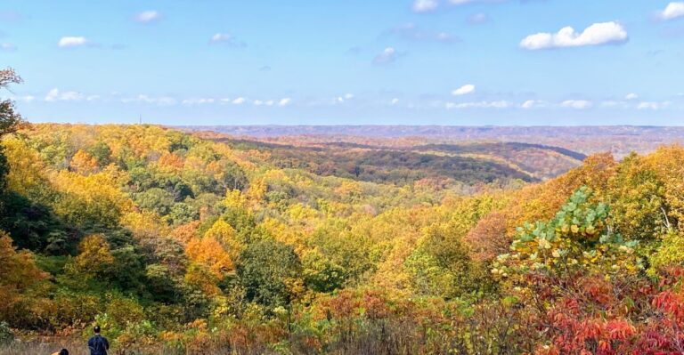 Brown County State Park Turns Into Indiana’s Most Colorful Drive Every October