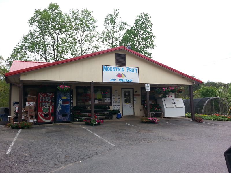 Sweet Potato Pie Worth The Detour Waits At These 4 Small-Town Virginia Bakeries