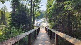 This Quiet Michigan State Park Hides A Chain Of Waterfalls Along One Easy Forest Trail