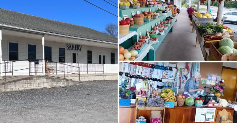 The Homemade Doughnuts At This Tiny Reading Bakery Sell Out Before Nine