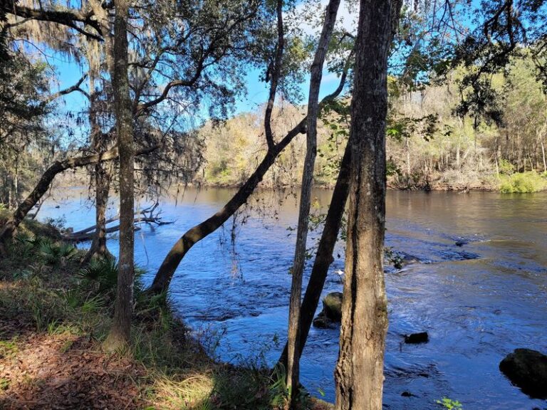 Here’s The Peaceful Florida Springs Town Where Retirees Live Well On A Modest Budget