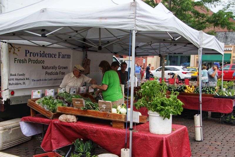 Artisan Breads And Apple Cider Donuts Pull Weekend Crowds To This Beloved Illinois Farmers Market