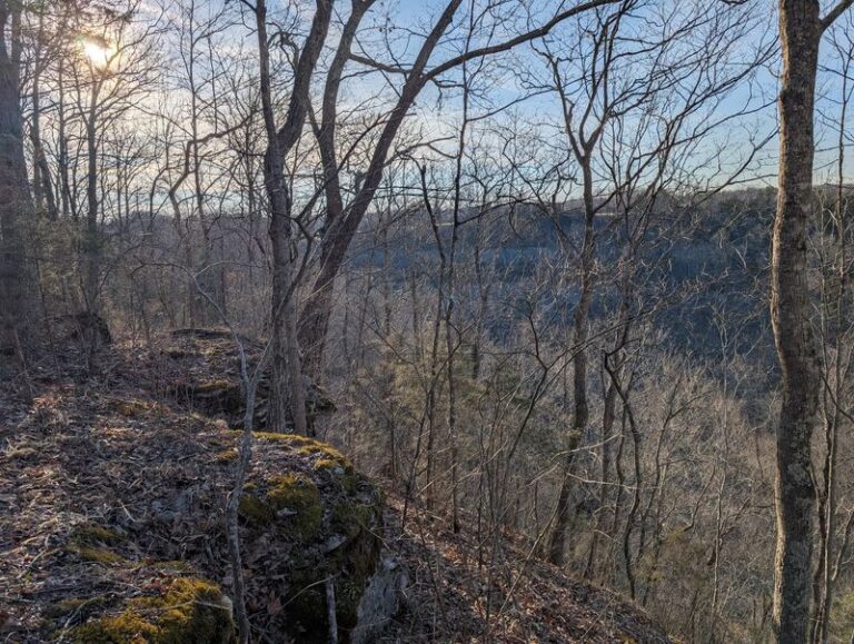 This Quiet Kentucky Nature Preserve Hides A Gorge Trail Past Waterfalls Where You Can Wade Right Into The Creek