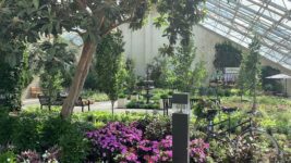 Wander The Rose Gardens And Glass Conservatory At This Free Indiana Botanical Park
