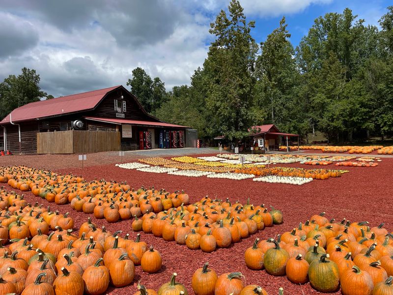 Bring The Kids To This Georgia Farm For Pumpkin Patches, Hayrides, And A Corn Maze