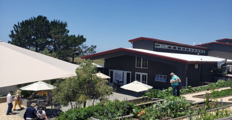 These 7 California Creameries Churn Small-Batch Ice Cream From Their Own Cows