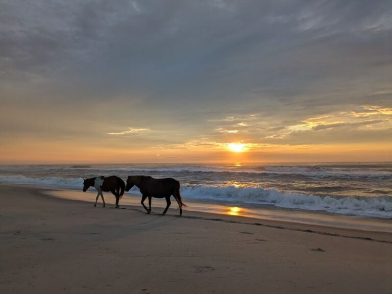 On A Narrow Barrier Island In Maryland, This State Park Lines A Quiet, Sandy Shore Where Wild Horses Roam