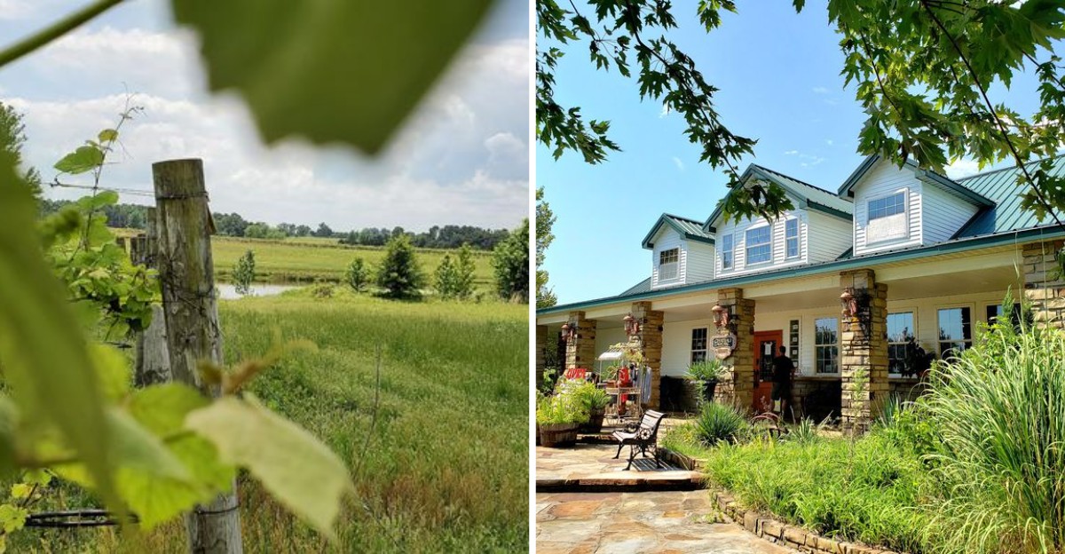 Sip Zinfandel At A Vineyard-View Tasting Room In This Tiny Historic Arkansas Wine Town, An Easy Day Trip