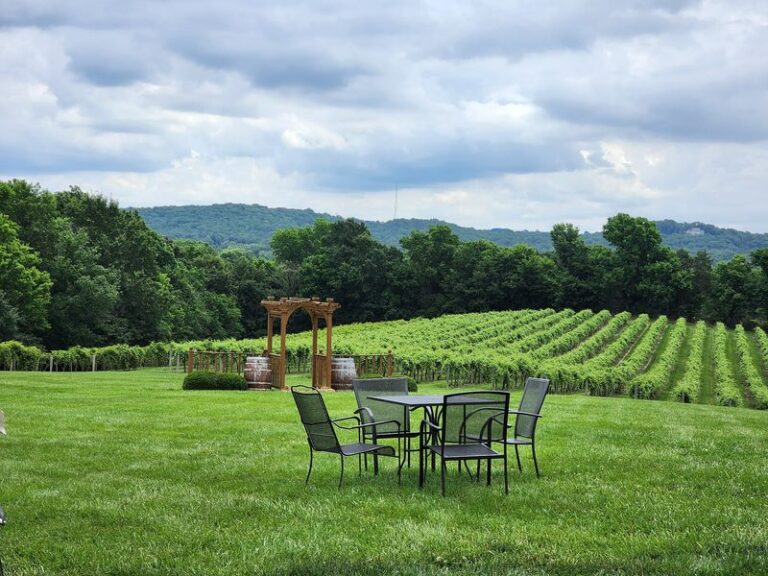 7 Missouri Wineries Where You Sip Wine With Scenic Views