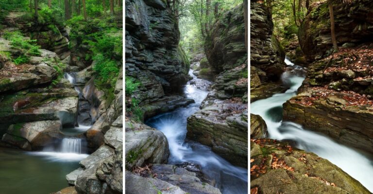 Go Early To This Pennsylvania Gorge Where A Loop Trail Passes Waterfalls To Bedrock Tubs You Can Swim In