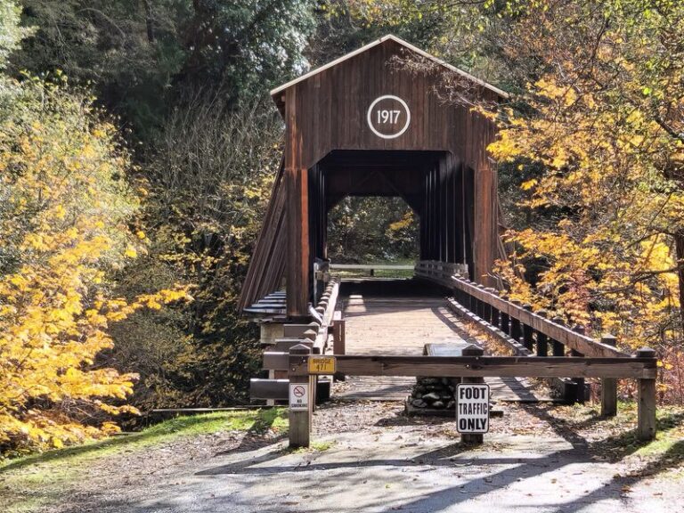 Seven Oregon Covered Bridges You Can Actually Walk Across On A Slow Afternoon
