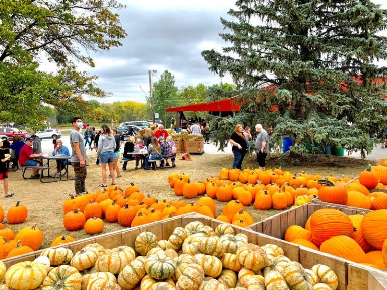 Bring The Family To This Indiana Orchard For Apple Picking, Cider And Wagon Rides