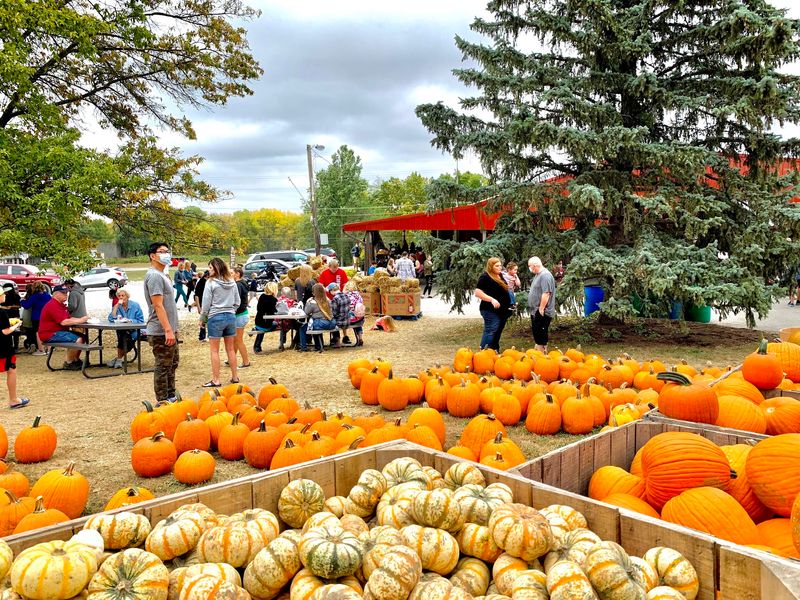 Bring The Family To This Indiana Orchard For Apple Picking, Cider And Wagon Rides