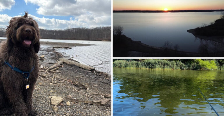 Set On A Quiet Reservoir Near Delaware, Ohio, Alum Creek State Park Hides Sandy Beaches And Forest Trails