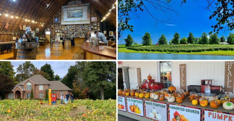 Every Fall, Families Head To Huber’s Orchard In Starlight, Indiana For Pumpkins And Pie