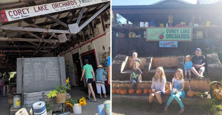 Tucked Along A Gravel Road, This Michigan Farm Stand Sells Peaches And Melons Straight Off The Truck