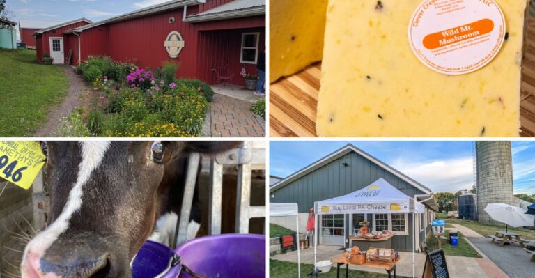 These 8 Pennsylvania Cheese Shops Age Their Own Wheels Right On The Farm