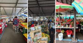 This Hilo Farmers Market Fills Every Stall With Rambutan, Orchids, And Homemade Mochi