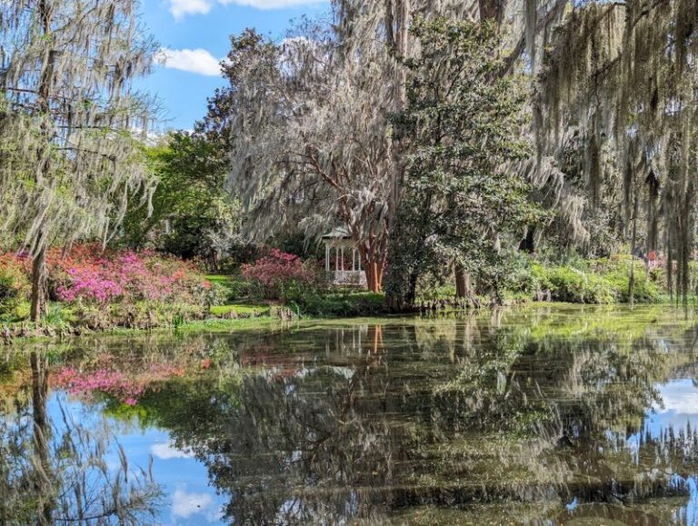 This Sprawling South Carolina Plantation Garden Bursts Into Bloom Every Spring Along The Ashley River