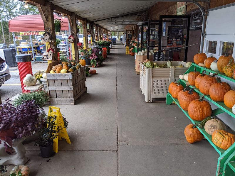 Why Georgia Road-Trippers Always Stop At Jaemor Farms For Peach Cider Doughnuts And Fall Pumpkins