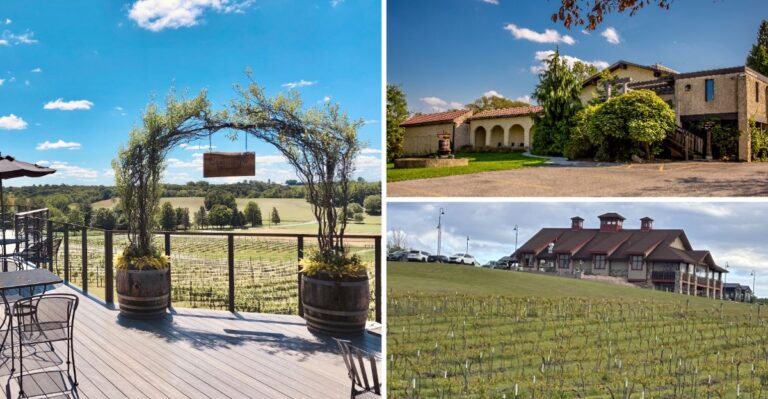 Seven Pennsylvania Wineries Where You Sip A Glass Overlooking The Rolling Vineyard Rows