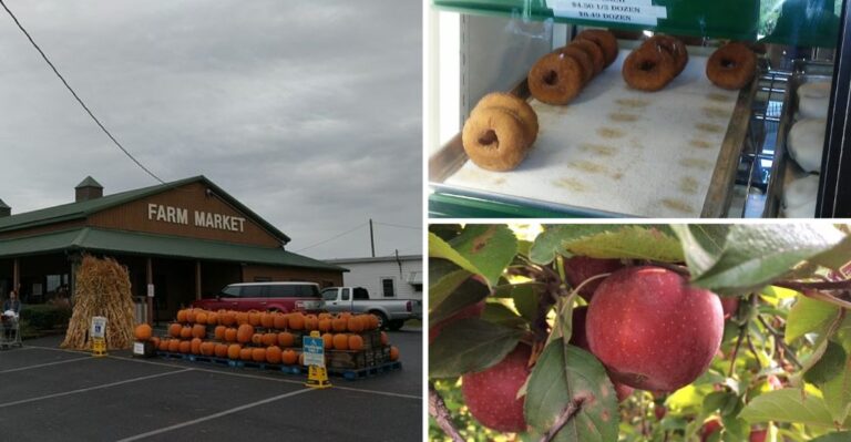 Warm Apple Fritters Come Straight From The Fryer At This Winchester Orchard Bakery