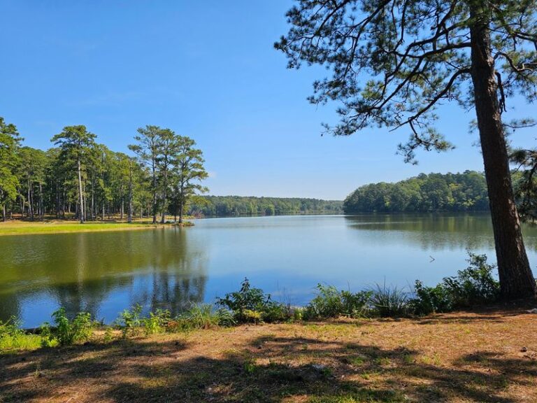 This Peaceful Mississippi State Park Wraps Its Cabins Around A Quiet Cypress-Lined Lake