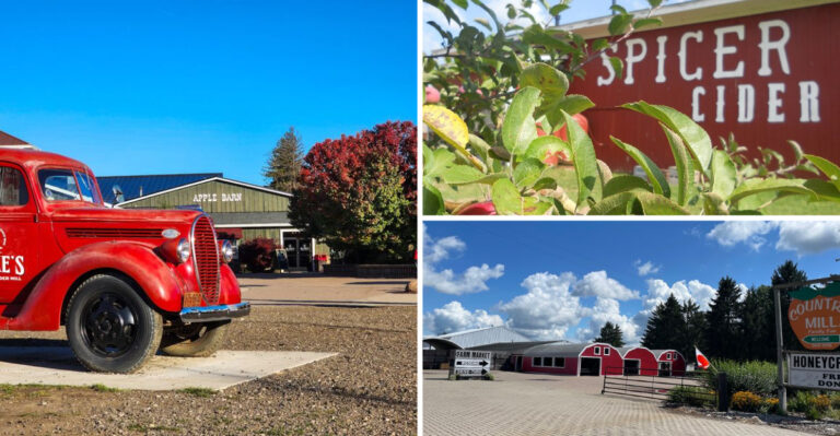 When Fall Hits, These 8 Michigan Orchards Serve Warm Cider Doughnuts You’ll Want To Eat In The Parking Lot