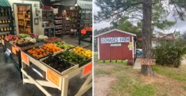 These 6 Texas farm stands are packed with fresh produce worth pulling over for
